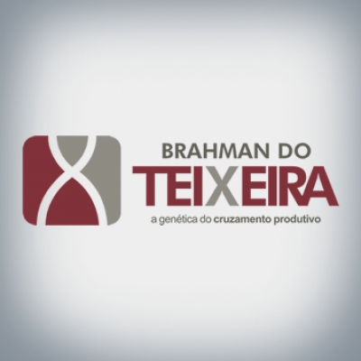 Brahman do Teixeira