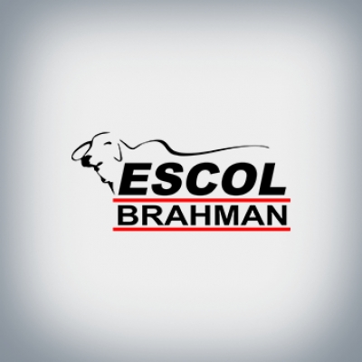 Brahman Escol