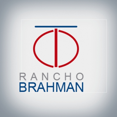 Rancho Brahman
