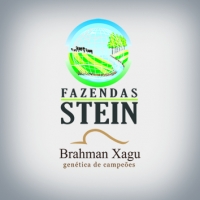 Fazendas Stein
