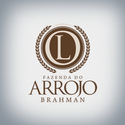 Brahman Arrojo