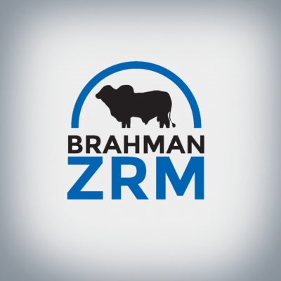 Brahman ZRM