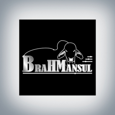 Brahman Sul