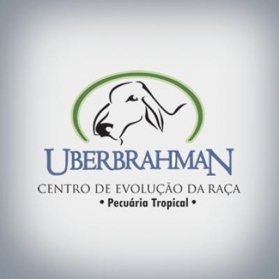 Uberbrahman